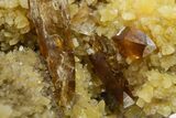 Honey Colored Barite Crystals on Fluorescent Calcite - Elk Creek #348128-3